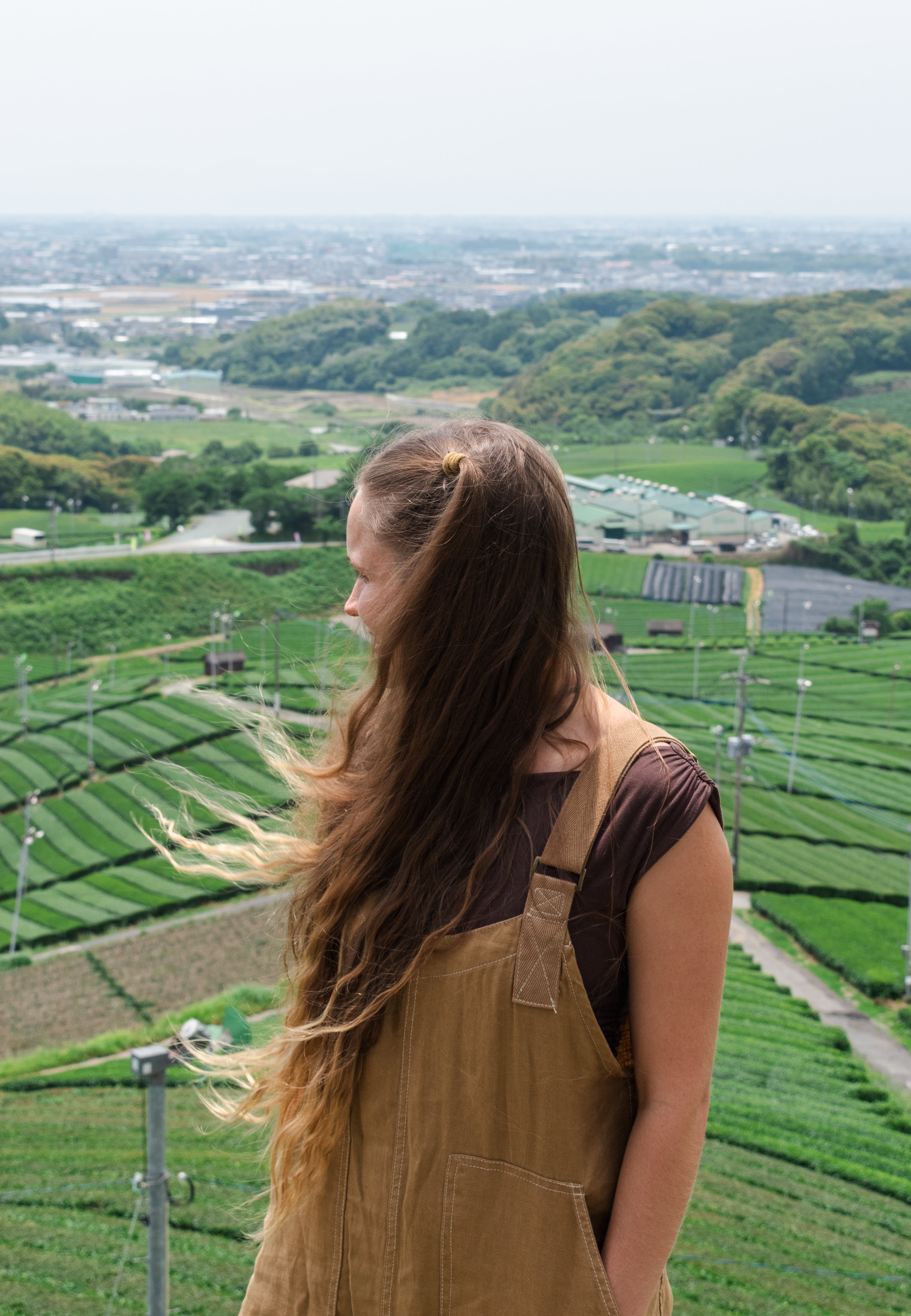 A long overdue Introduction