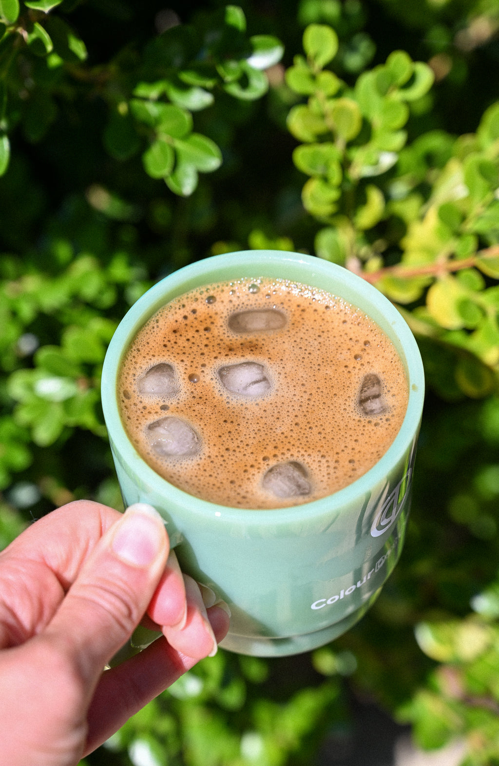 Organic Hōjicha - 100gram Bag